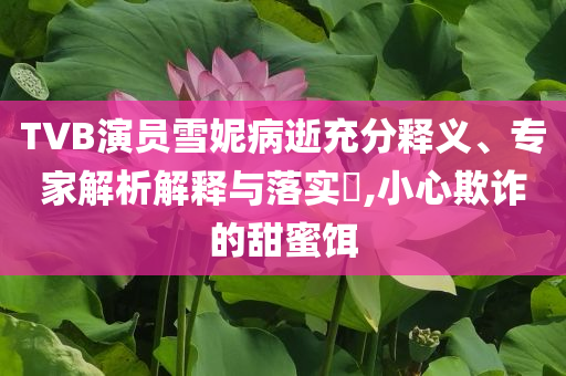 TVB演員雪妮病逝充分釋義、專家解析解釋與落實?,小心欺詐的甜蜜餌