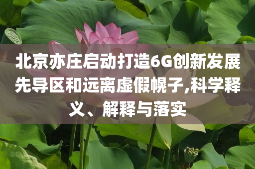 北京亦莊啟動打造6G創新發展先導區和遠離虛假幌子,科學釋義、解釋與落實