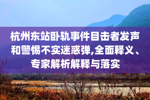 杭州東站臥軌事件目擊者發(fā)聲和警惕不實(shí)迷惑彈,全面釋義、專家解析解釋與落實(shí)