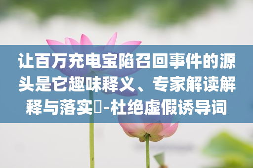 讓百萬充電寶陷召回事件的源頭是它趣味釋義、專家解讀解釋與落實?-杜絕虛假誘導(dǎo)詞