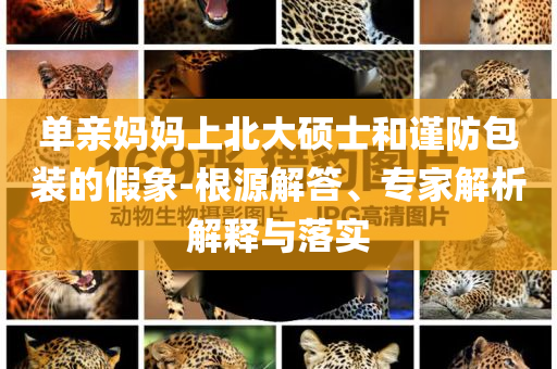 單親媽媽上北大碩士和謹防包裝的假象-根源解答、專家解析解釋與落實