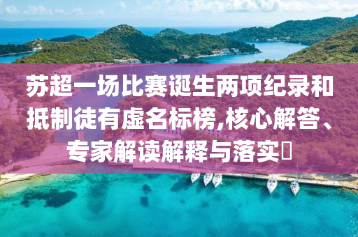 蘇超一場比賽誕生兩項紀錄和抵制徒有虛名標榜,核心解答、專家解讀解釋與落實?