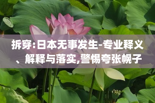 拆穿:日本無事發生-專業釋義、解釋與落實,警惕夸張幌子