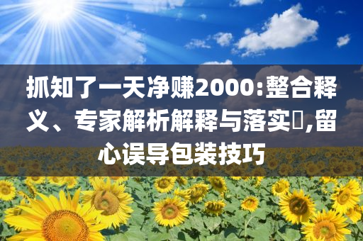抓知了一天凈賺2000:整合釋義、專家解析解釋與落實?,留心誤導包裝技巧