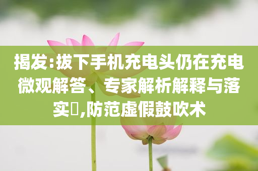 揭發:拔下手機充電頭仍在充電微觀解答、專家解析解釋與落實?,防范虛假鼓吹術