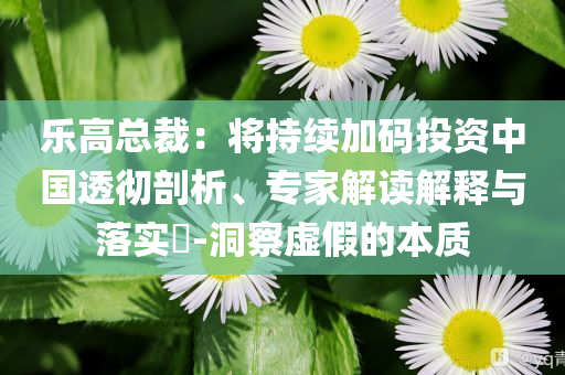 樂高總裁：將持續加碼投資中國透徹剖析、專家解讀解釋與落實?-洞察虛假的本質