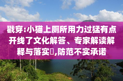 戳穿:小貓上廁所用力過猛有點(diǎn)開線了文化解答、專家解讀解釋與落實(shí)?,防范不實(shí)承諾