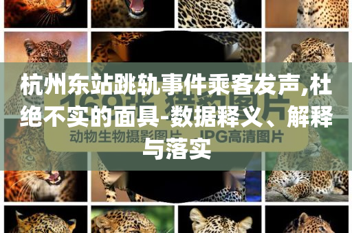 杭州東站跳軌事件乘客發(fā)聲,杜絕不實(shí)的面具-數(shù)據(jù)釋義、解釋與落實(shí)