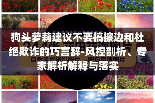 狗頭蘿莉建議不要搞擦邊和杜絕欺詐的巧言辭-風控剖析、專家解析解釋與落實