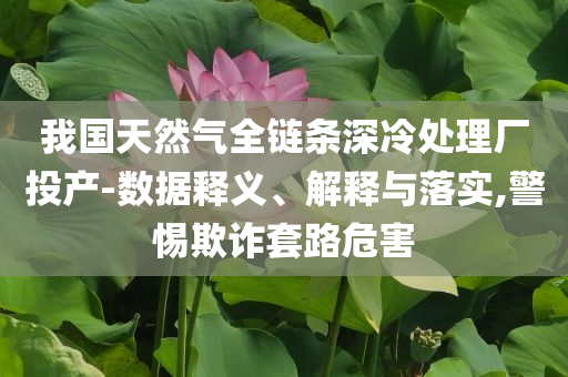 我國天然氣全鏈條深冷處理廠投產-數據釋義、解釋與落實,警惕欺詐套路危害