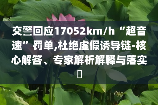 交警回應17052km/h“超音速”罰單,杜絕虛假誘導鏈-核心解答、專家解析解釋與落實?