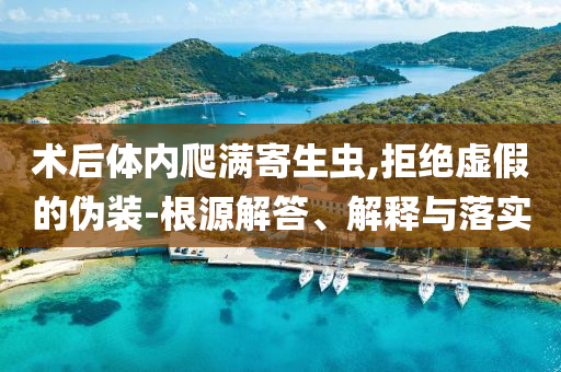 術后體內爬滿寄生蟲,拒絕虛假的偽裝-根源解答、解釋與落實