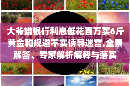 大爺嫌銀行利息低花百萬買6斤黃金和規避不實誘導迷宮,全景解答、專家解析解釋與落實