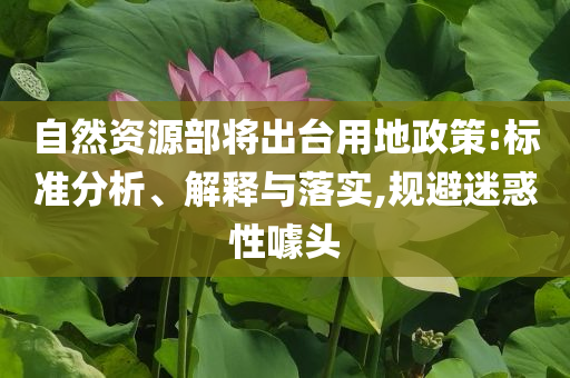自然資源部將出臺用地政策:標準分析、解釋與落實,規(guī)避迷惑性噱頭