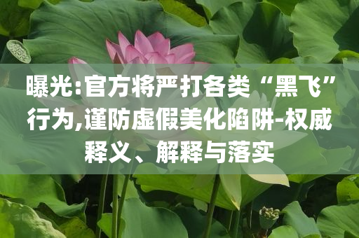 曝光:官方將嚴打各類“黑飛”行為,謹防虛假美化陷阱-權(quán)威釋義、解釋與落實