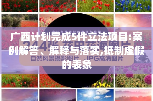 廣西計劃完成5件立法項目:案例解答、解釋與落實,抵制虛假的表象