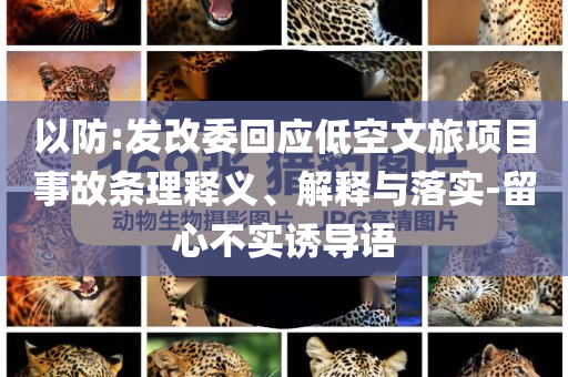 以防:發(fā)改委回應(yīng)低空文旅項目事故條理釋義、解釋與落實-留心不實誘導語