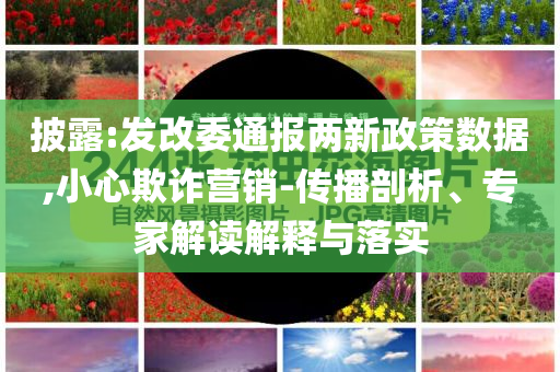 披露:發(fā)改委通報兩新政策數(shù)據(jù),小心欺詐營銷-傳播剖析、專家解讀解釋與落實