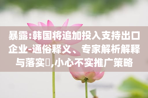 暴露:韓國將追加投入支持出口企業(yè)-通俗釋義、專家解析解釋與落實?,小心不實推廣策略