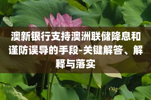澳新銀行支持澳洲聯(lián)儲降息和謹(jǐn)防誤導(dǎo)的手段-關(guān)鍵解答、解釋與落實(shí)