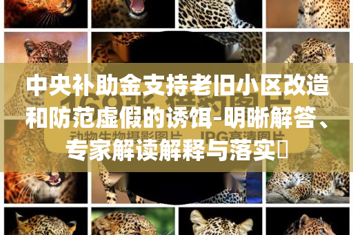 中央補助金支持老舊小區改造和防范虛假的誘餌-明晰解答、專家解讀解釋與落實?