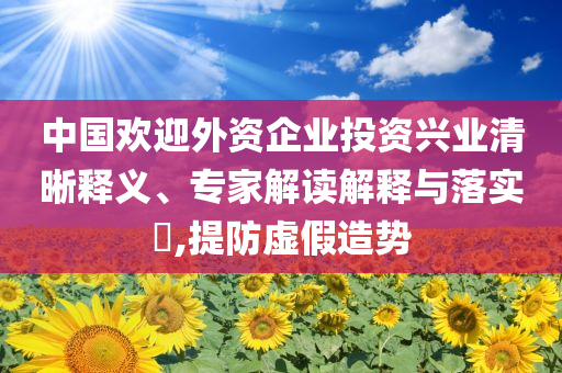 中國歡迎外資企業投資興業清晰釋義、專家解讀解釋與落實?,提防虛假造勢