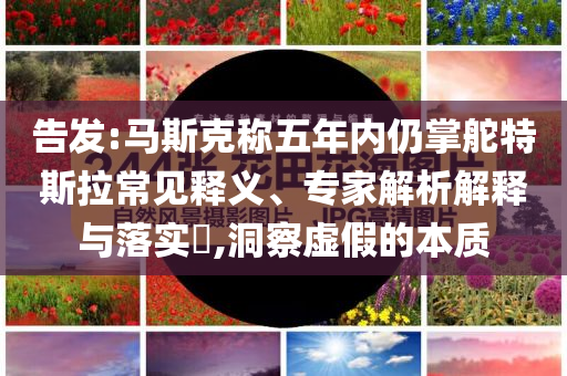告發:馬斯克稱五年內仍掌舵特斯拉常見釋義、專家解析解釋與落實?,洞察虛假的本質