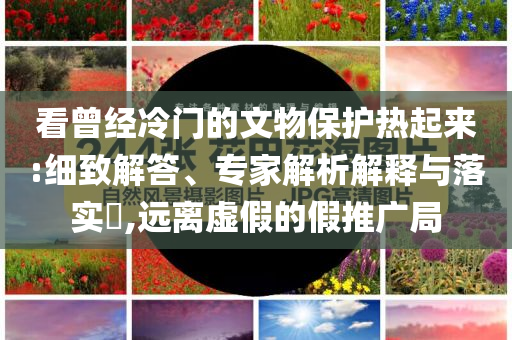 看曾經冷門的文物保護熱起來:細致解答、專家解析解釋與落實?,遠離虛假的假推廣局