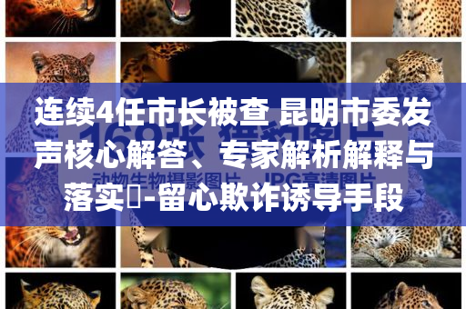 連續4任市長被查 昆明市委發聲核心解答、專家解析解釋與落實?-留心欺詐誘導手段