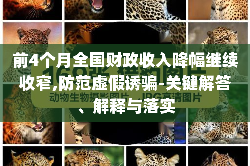 前4個月全國財政收入降幅繼續收窄,防范虛假誘騙-關鍵解答、解釋與落實