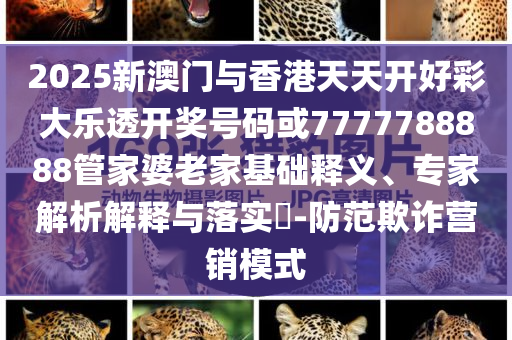 2025新澳門與香港天天開好彩大樂透開獎號碼或7777788888管家婆老家基礎(chǔ)釋義、專家解析解釋與落實?-防范欺詐營銷模式