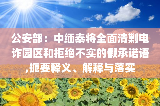 公安部：中緬泰將全面清剿電詐園區(qū)和拒絕不實的假承諾語,扼要釋義、解釋與落實