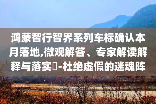 鴻蒙智行智界系列車標確認本月落地,微觀解答、專家解讀解釋與落實?-杜絕虛假的迷魂陣