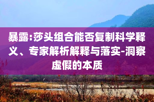 暴露:莎頭組合能否復(fù)制科學(xué)釋義、專家解析解釋與落實-洞察虛假的本質(zhì)