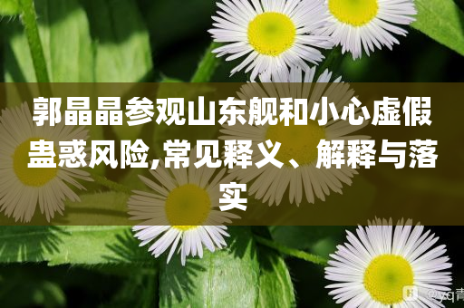 郭晶晶參觀山東艦和小心虛假蠱惑風(fēng)險,常見釋義、解釋與落實
