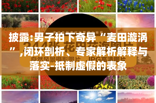 披露:男子拍下奇異“麥田漩渦”,閉環(huán)剖析、專家解析解釋與落實-抵制虛假的表象
