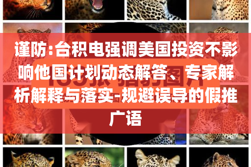 謹防:臺積電強調(diào)美國投資不影響他國計劃動態(tài)解答、專家解析解釋與落實-規(guī)避誤導(dǎo)的假推廣語