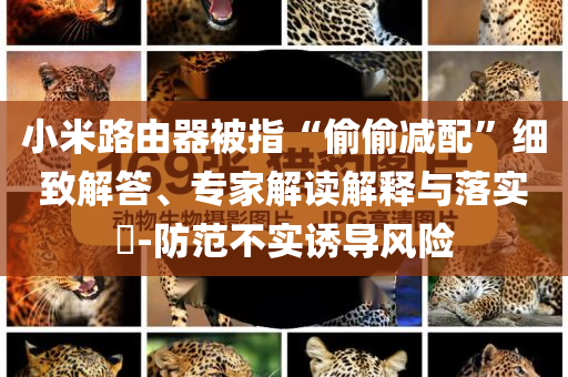小米路由器被指“偷偷減配”細致解答、專家解讀解釋與落實?-防范不實誘導(dǎo)風(fēng)險