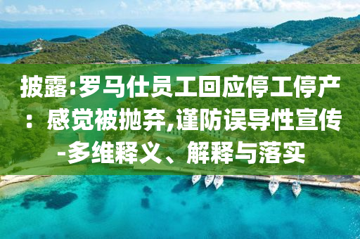 披露:羅馬仕員工回應(yīng)停工停產(chǎn)：感覺被拋棄,謹(jǐn)防誤導(dǎo)性宣傳-多維釋義、解釋與落實(shí)