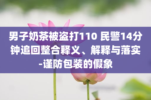 男子奶茶被盜打110 民警14分鐘追回整合釋義、解釋與落實-謹防包裝的假象