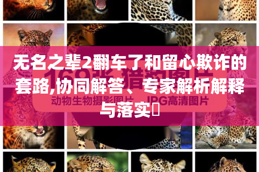 無名之輩2翻車了和留心欺詐的套路,協同解答、專家解析解釋與落實?