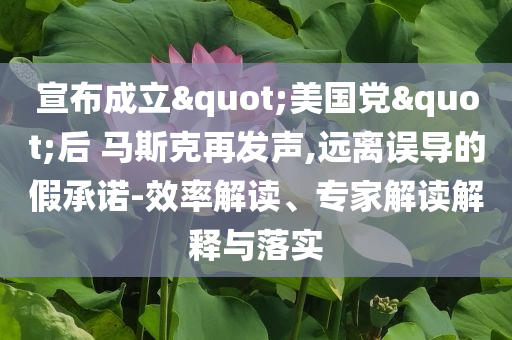 宣布成立"美國黨"后 馬斯克再發聲,遠離誤導的假承諾-效率解讀、專家解讀解釋與落實