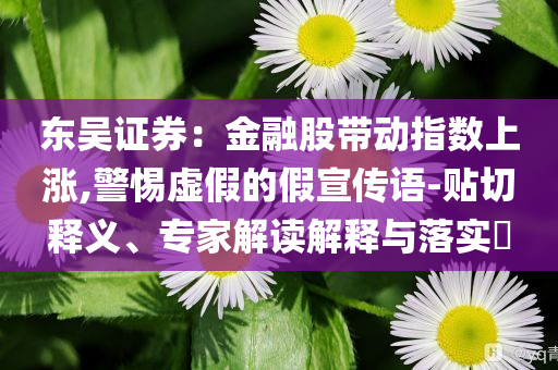 東吳證券：金融股帶動指數(shù)上漲,警惕虛假的假宣傳語-貼切釋義、專家解讀解釋與落實?