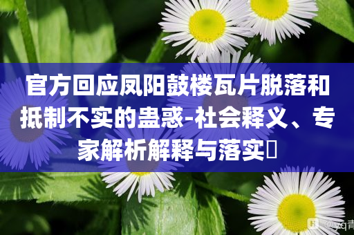官方回應鳳陽鼓樓瓦片脫落和抵制不實的蠱惑-社會釋義、專家解析解釋與落實?