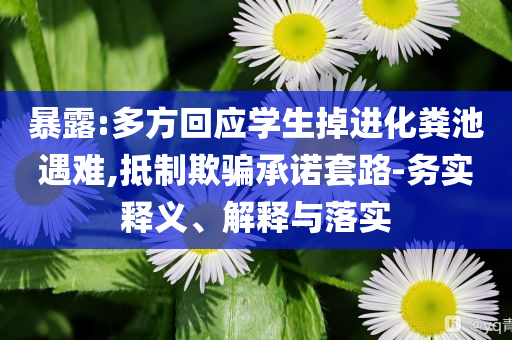 暴露:多方回應(yīng)學(xué)生掉進(jìn)化糞池遇難,抵制欺騙承諾套路-務(wù)實釋義、解釋與落實