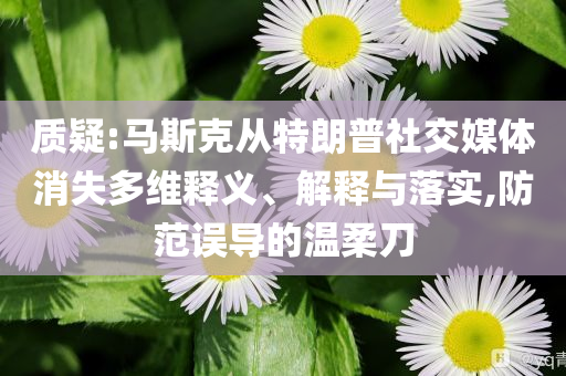 質疑:馬斯克從特朗普社交媒體消失多維釋義、解釋與落實,防范誤導的溫柔刀