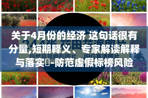 關(guān)于4月份的經(jīng)濟(jì) 這句話很有分量,短期釋義、專(zhuān)家解讀解釋與落實(shí)?-防范虛假標(biāo)榜風(fēng)險(xiǎn)