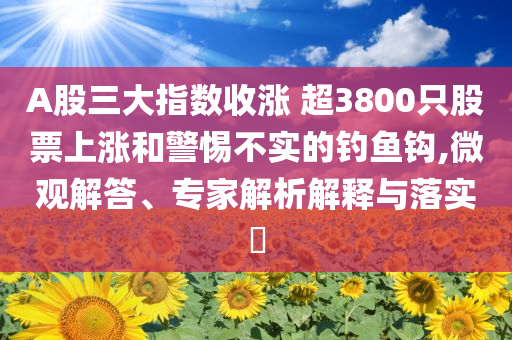 A股三大指數收漲 超3800只股票上漲和警惕不實的釣魚鉤,微觀解答、專家解析解釋與落實?