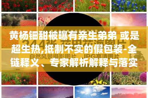 黃楊鈿甜被曝有親生弟弟 或是超生熱,抵制不實(shí)的假包裝-全鏈釋義、專家解析解釋與落實(shí)