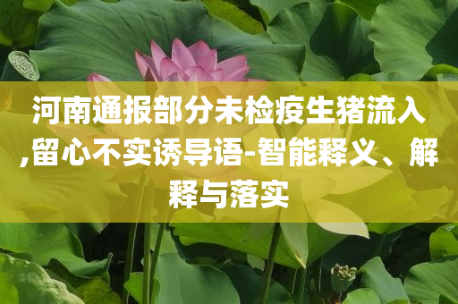 河南通報部分未檢疫生豬流入,留心不實誘導語-智能釋義、解釋與落實